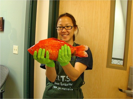 Nhà nghiên cứu Christine Ngai và con cá khổng lồ.