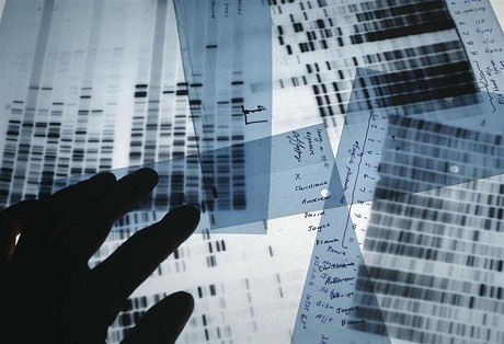Các kết quả phân tích ADN sẽ được đối chiếu với kho dữ liệu ADN của mỗi quốc gia.
